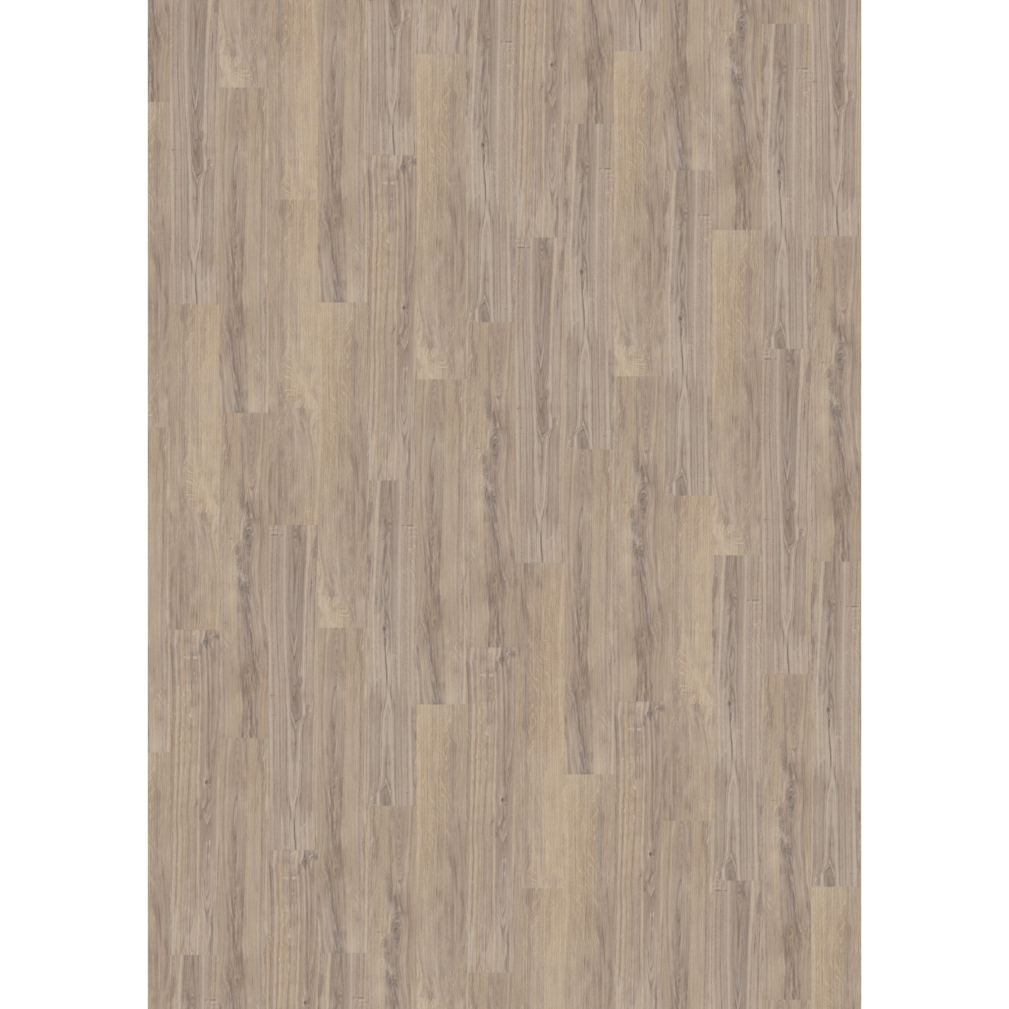 Vinylboden 'Comfort' Alabaster Oak graubraun 10,5 mm + product picture