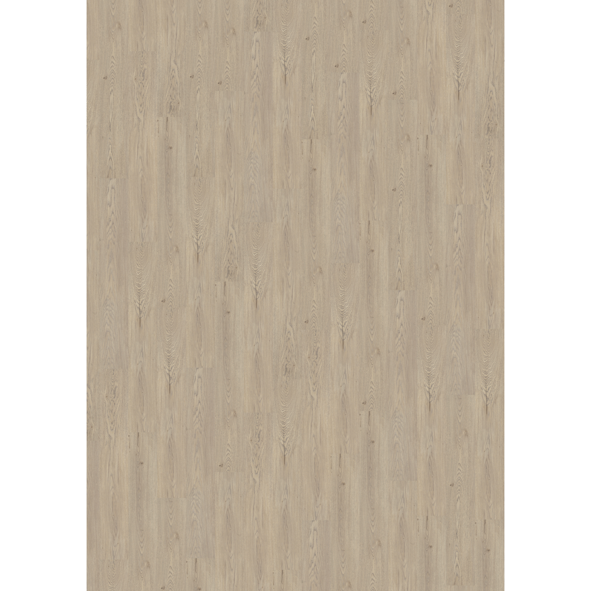 Vinylboden 'Comfort' Light Pastel Oak naturgrau 10,5 mm + product picture