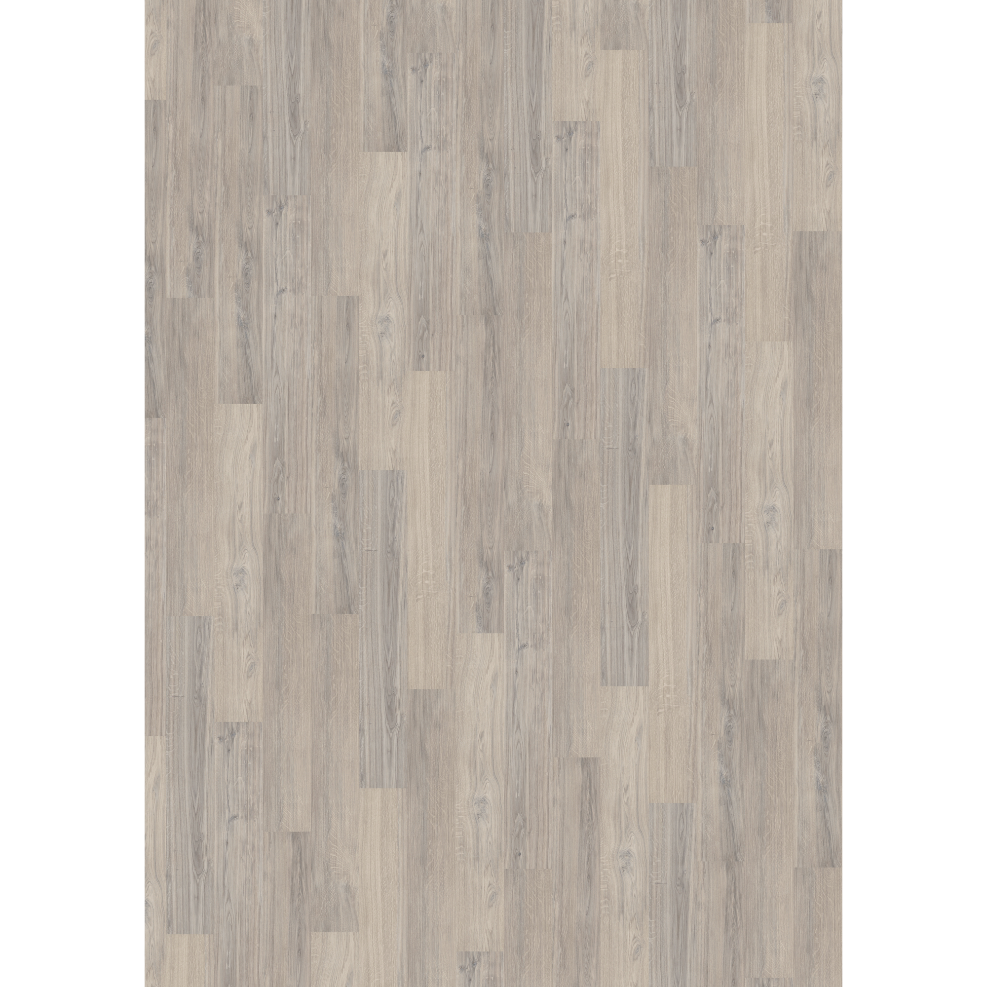 Vinylboden 'Comfort' Oiled Blossom Oak grau 10,5 mm + product picture
