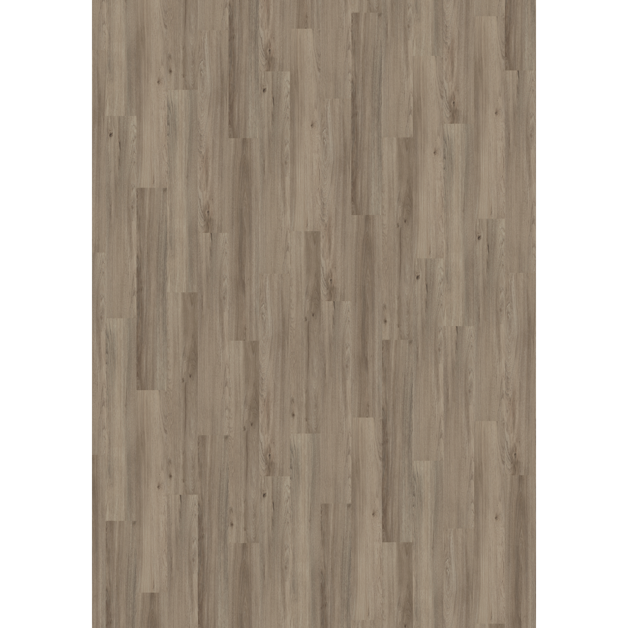 Vinylboden 'Nature' Ash Oak dunkelgrau 10,5 mm + product picture