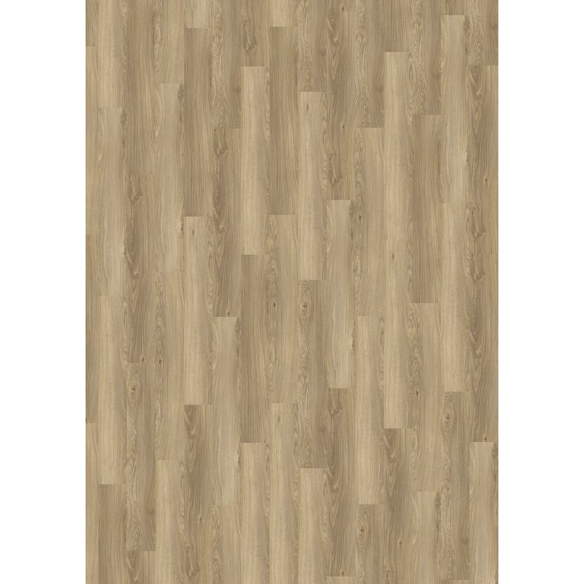 Vinylboden 'Nature' Land Oak natur 10,5 mm
