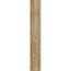 Vinylboden 'Nature' Castle Oak natur 10,5 mm