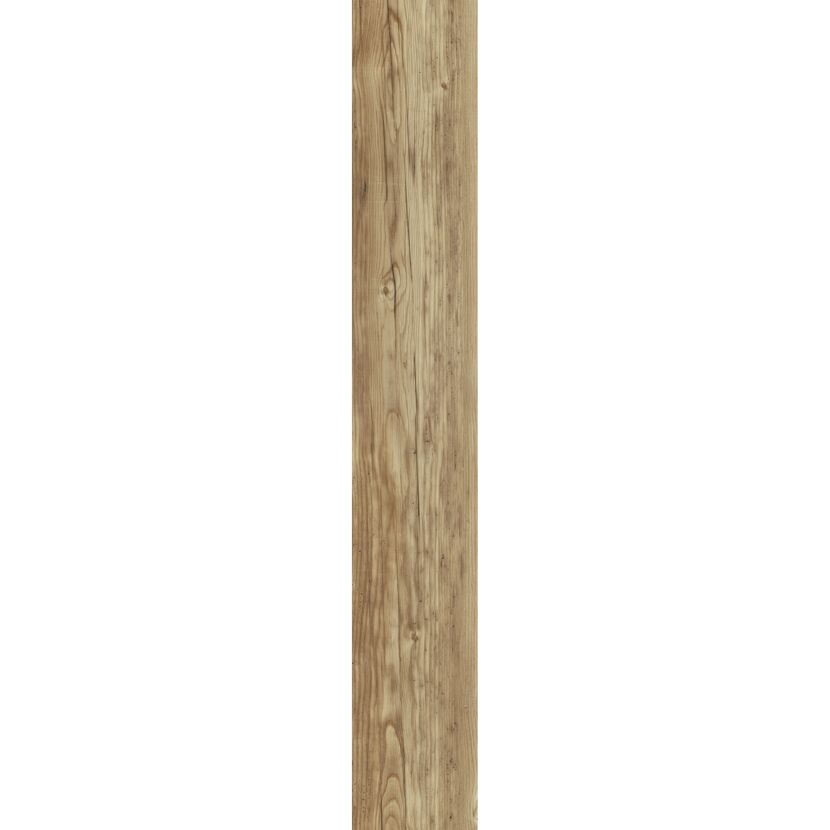 Vinylboden 'Nature' Castle Oak natur 10,5 mm