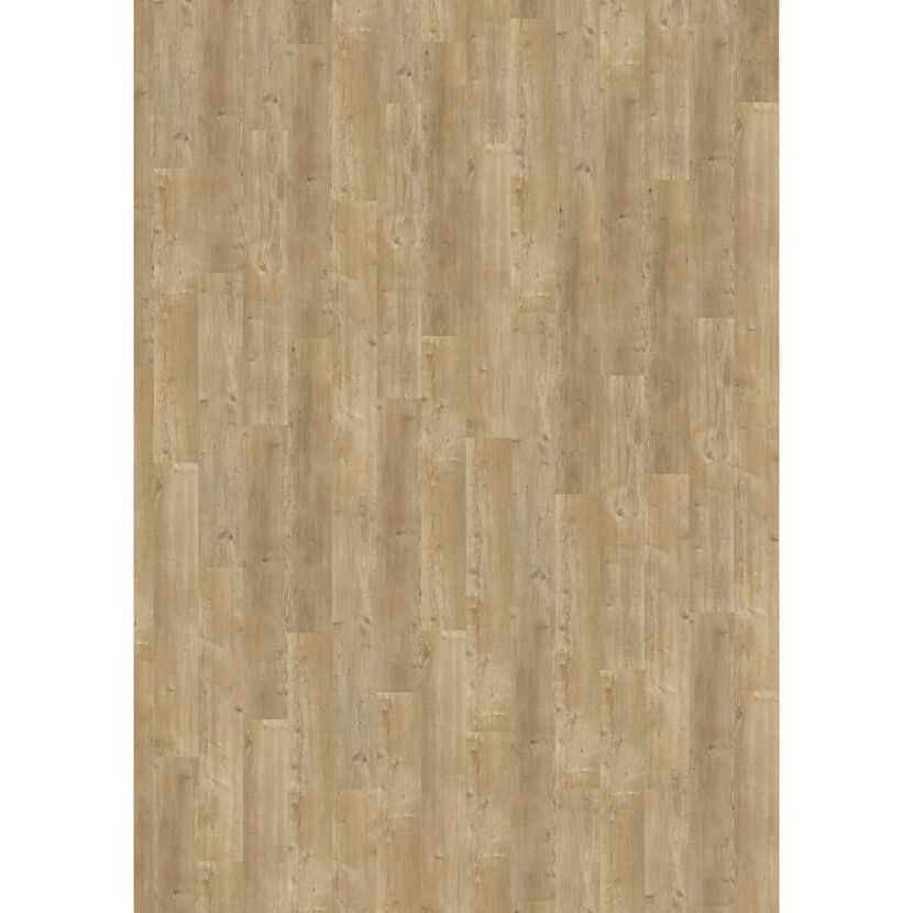 Vinylboden 'Nature' Cliff Oak natur 10,5 mm