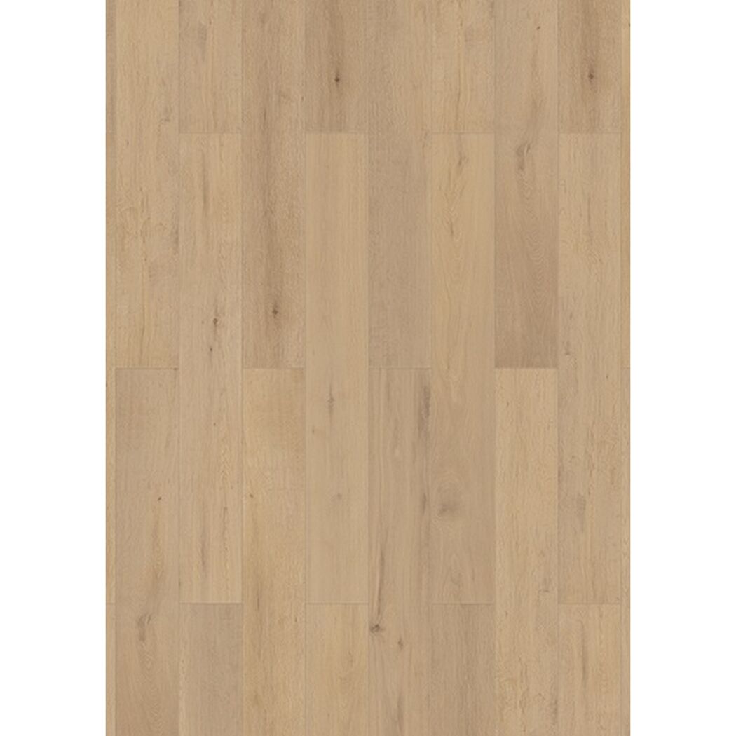 Helles Laminat Traubeneiche