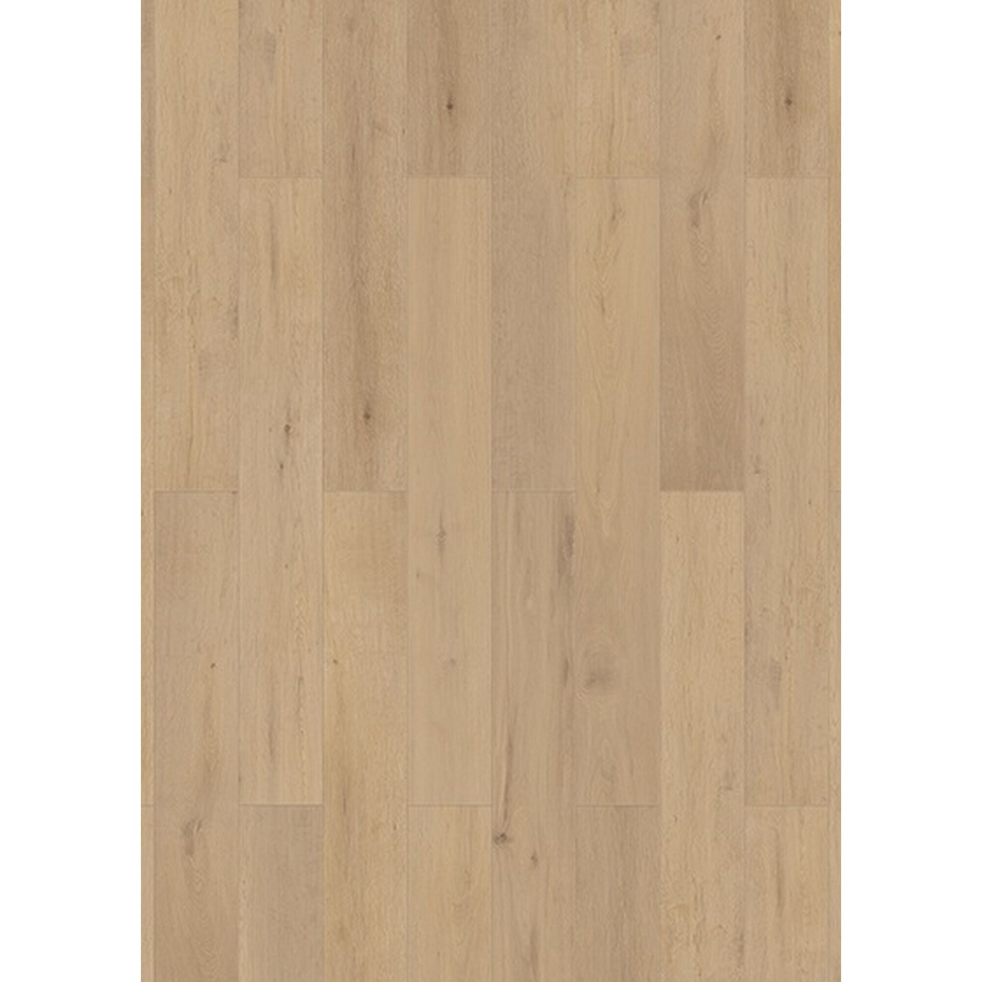 Helles Laminat Traubeneiche