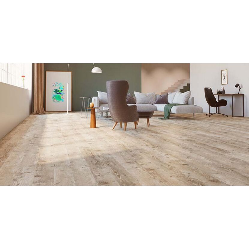 Wohnzimmer mit Laminat in Pinie Creme