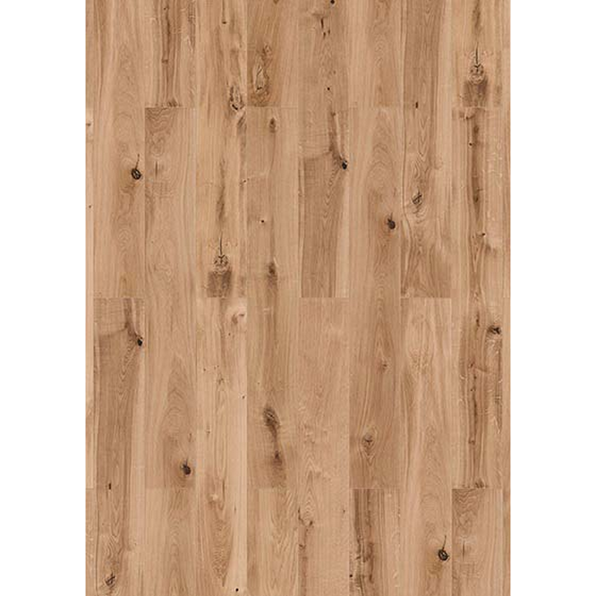 Vinylboden 'NEO 2.0 Wood' Canadian Summer Oak hellbraun 4,5 mm + product picture