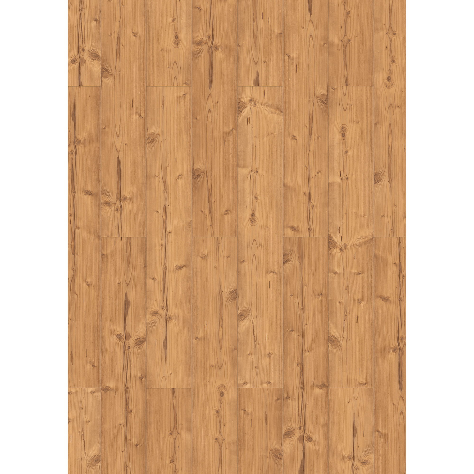 Laminat 'Neutral' Pinie braun 8 mm