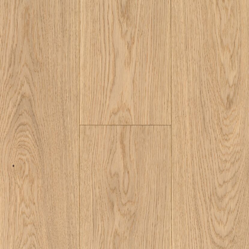Nahaufnahme von Parkett Basic 11-5 Eiche Pure