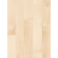 Verkleinertes Bild von Parkett 'Basic 11-5' Bergahorn weiß matt weiß 11,5 mm