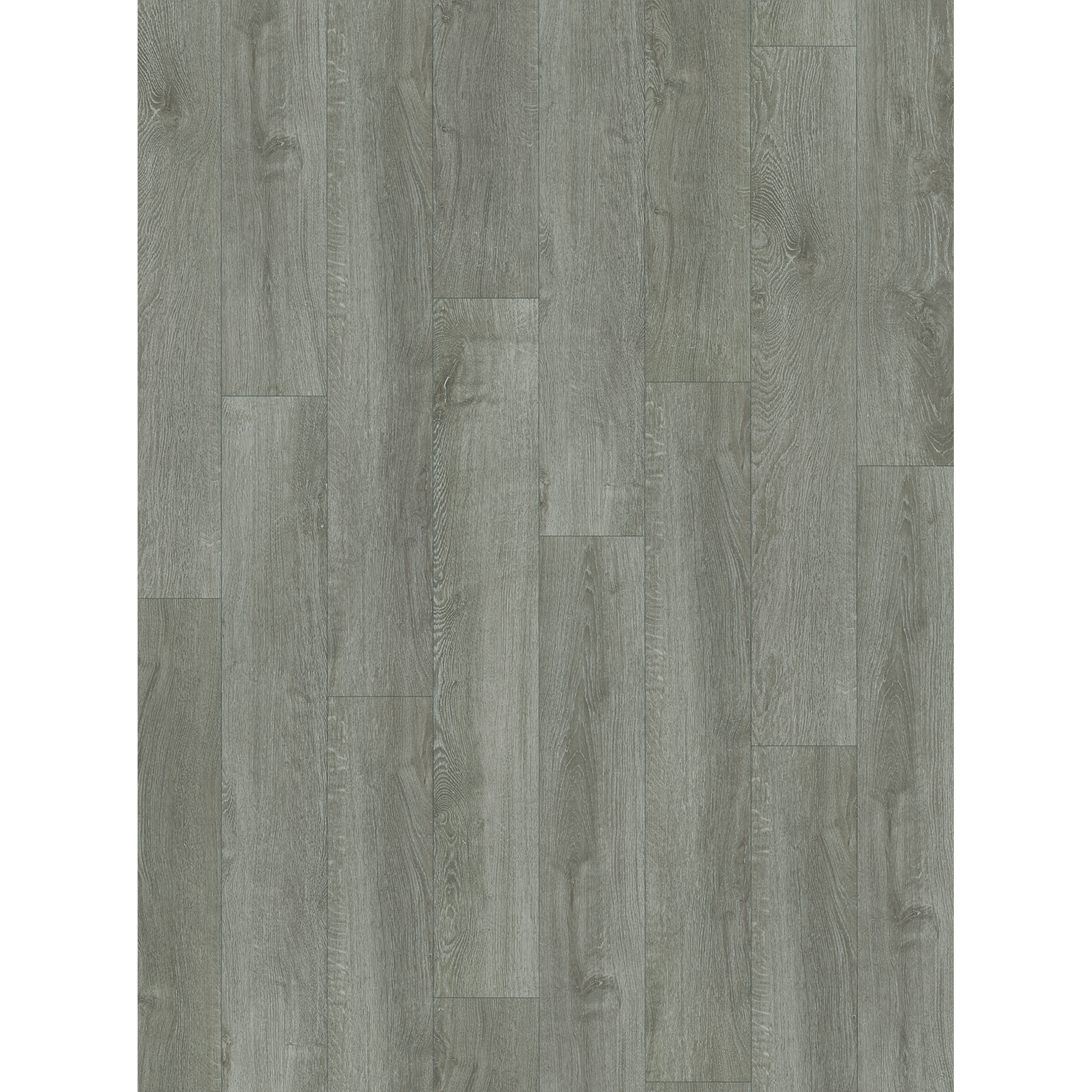 PARADOR Laminat Basic 400 - Eiche Lichtgrau, Packung, Kantenimprägnierung, 1285 x 194 mm, Stärke: 8 mm