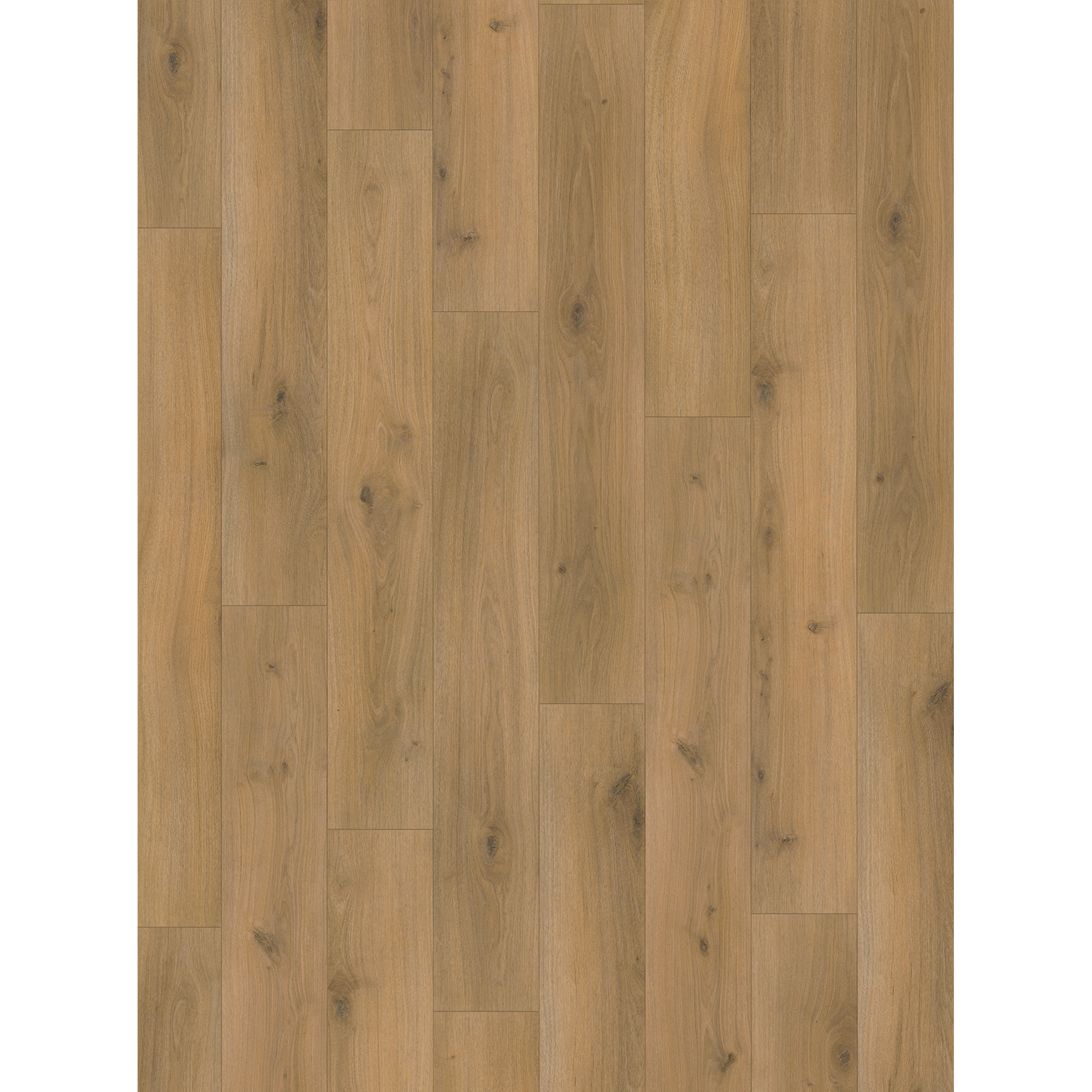 PARADOR Laminat Basic 400 - Eiche Horizont Natur, Packung, Kantenimprägnierung, 1285 x 194 mm, Stärke: 8 mm
