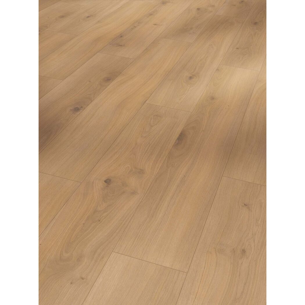 Laminat 'Basic 400' Euche Horizont Natur braun 8 mm