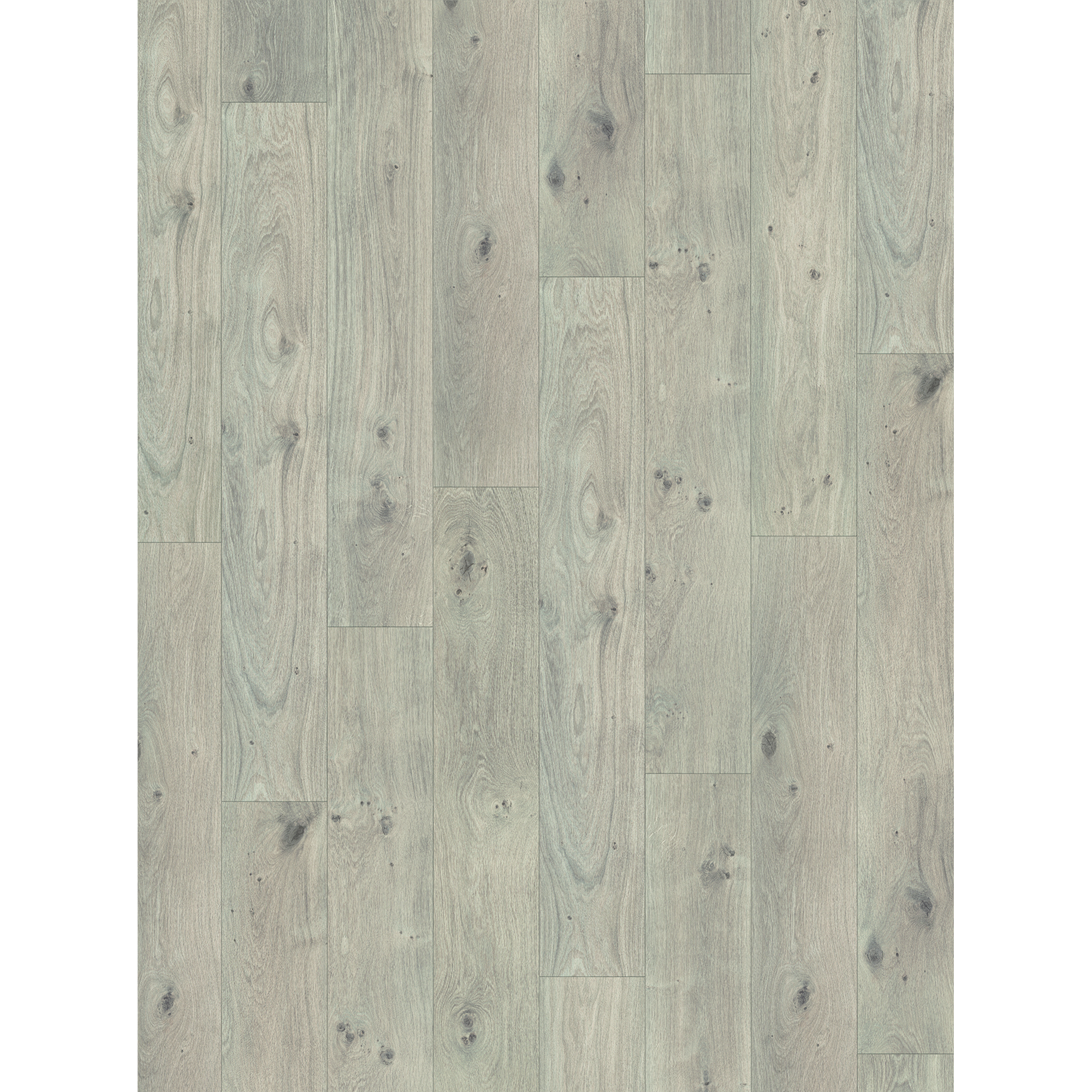 Parador Laminatboden Basic 200 Eiche naturgrau Landhausdiele mit V-Fuge