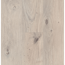 Laminat 'Basic 200' Eiche Natur grau braun 7 mm
