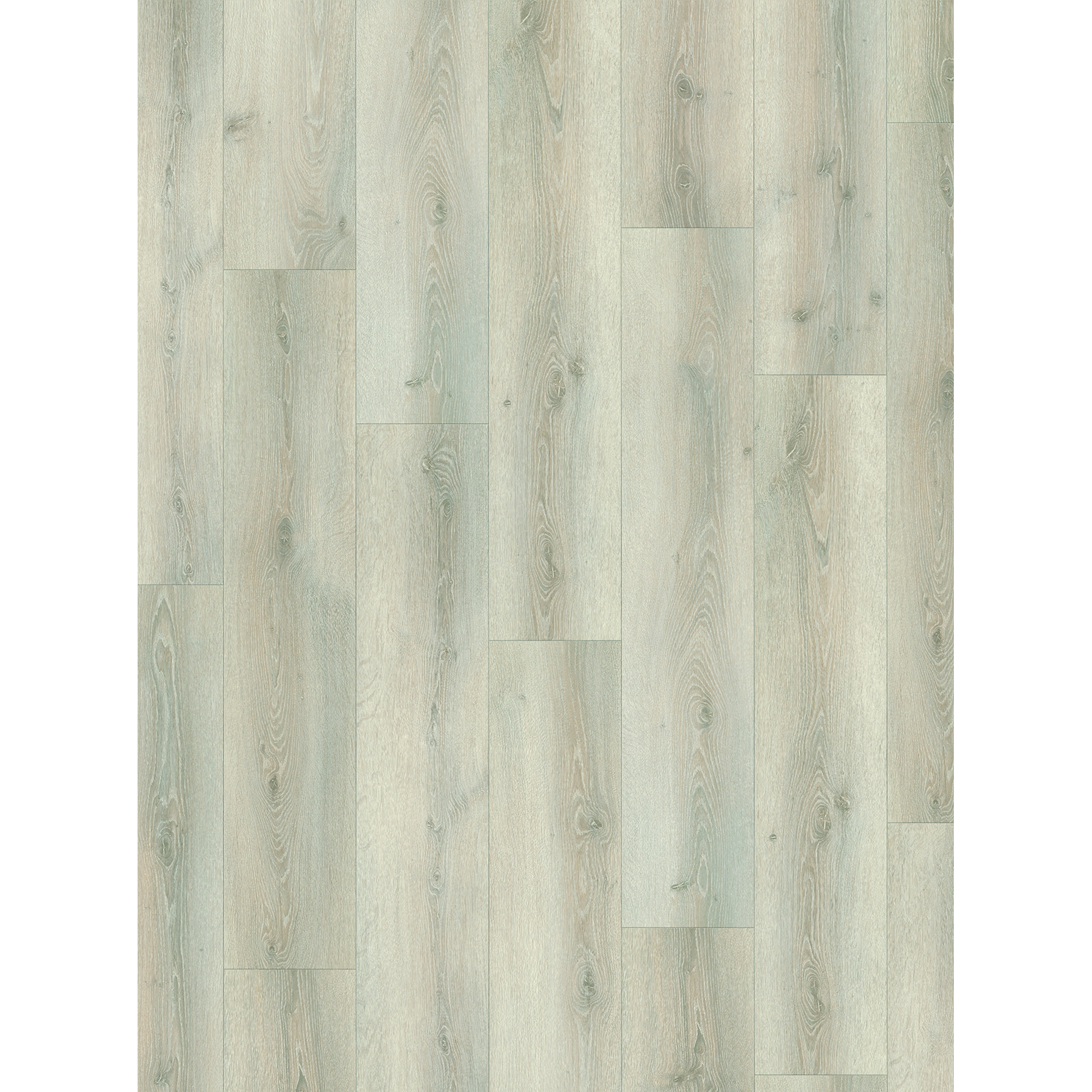 PARADOR Laminat Basic 600, Packung, pflegeleicht, 243 x 1285 mm