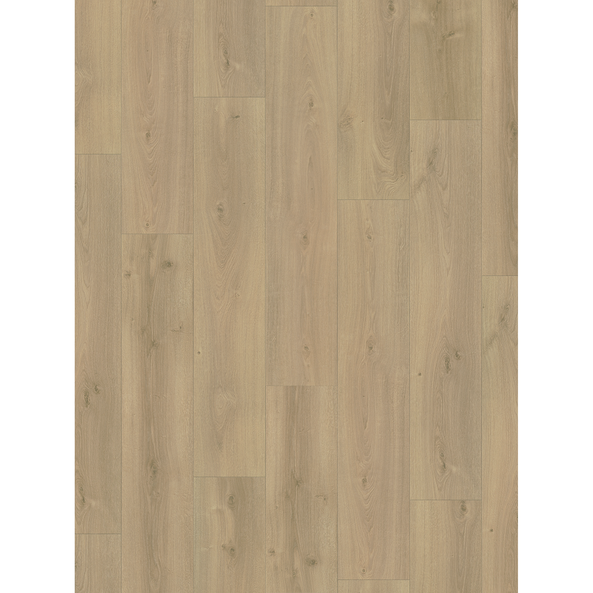 Parador Laminatboden Basic 600 Eiche Avant Landhausdiele klein
