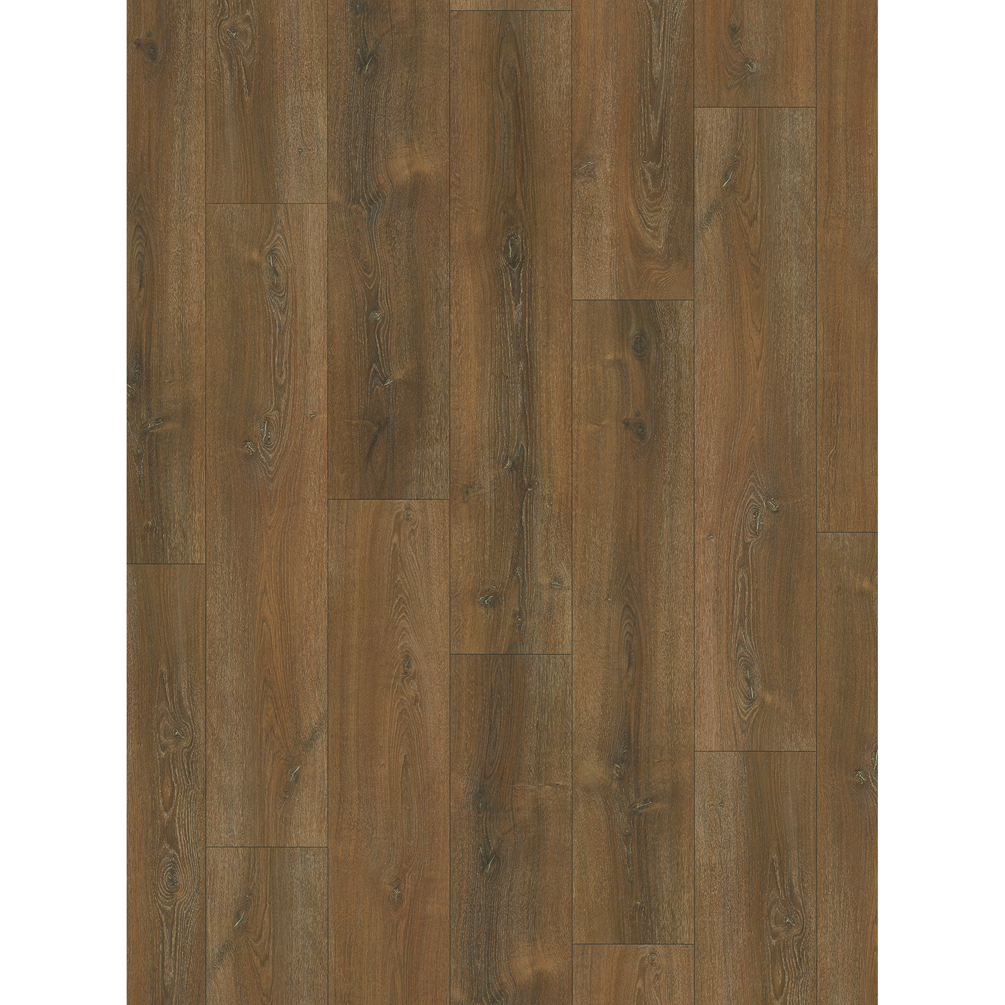 Parador Laminatboden Basic 600 Eiche Montana Landhausdiele klein