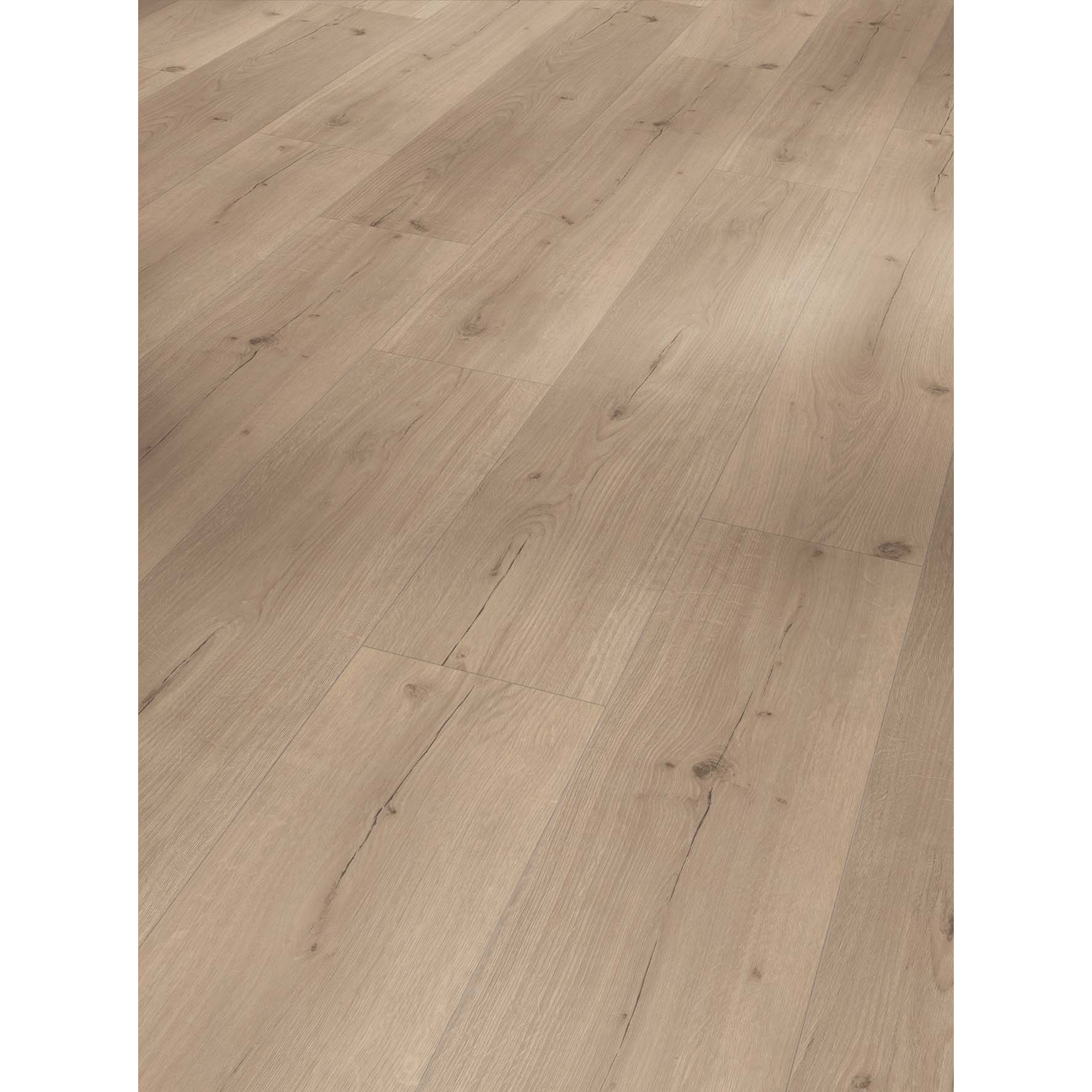 Designboden 'Basic 5.3' Eiche Infinity grau 5,3 mm + product picture