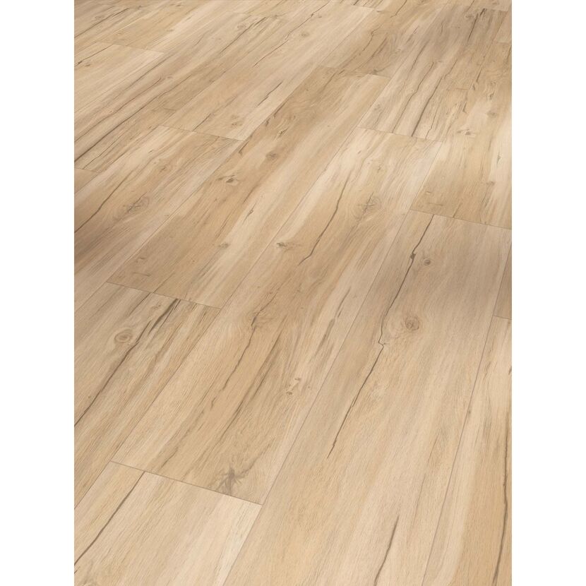 Vinylboden 'Basic 5.3' Eiche Memory geschliffen hellbraun 5,3 mm
