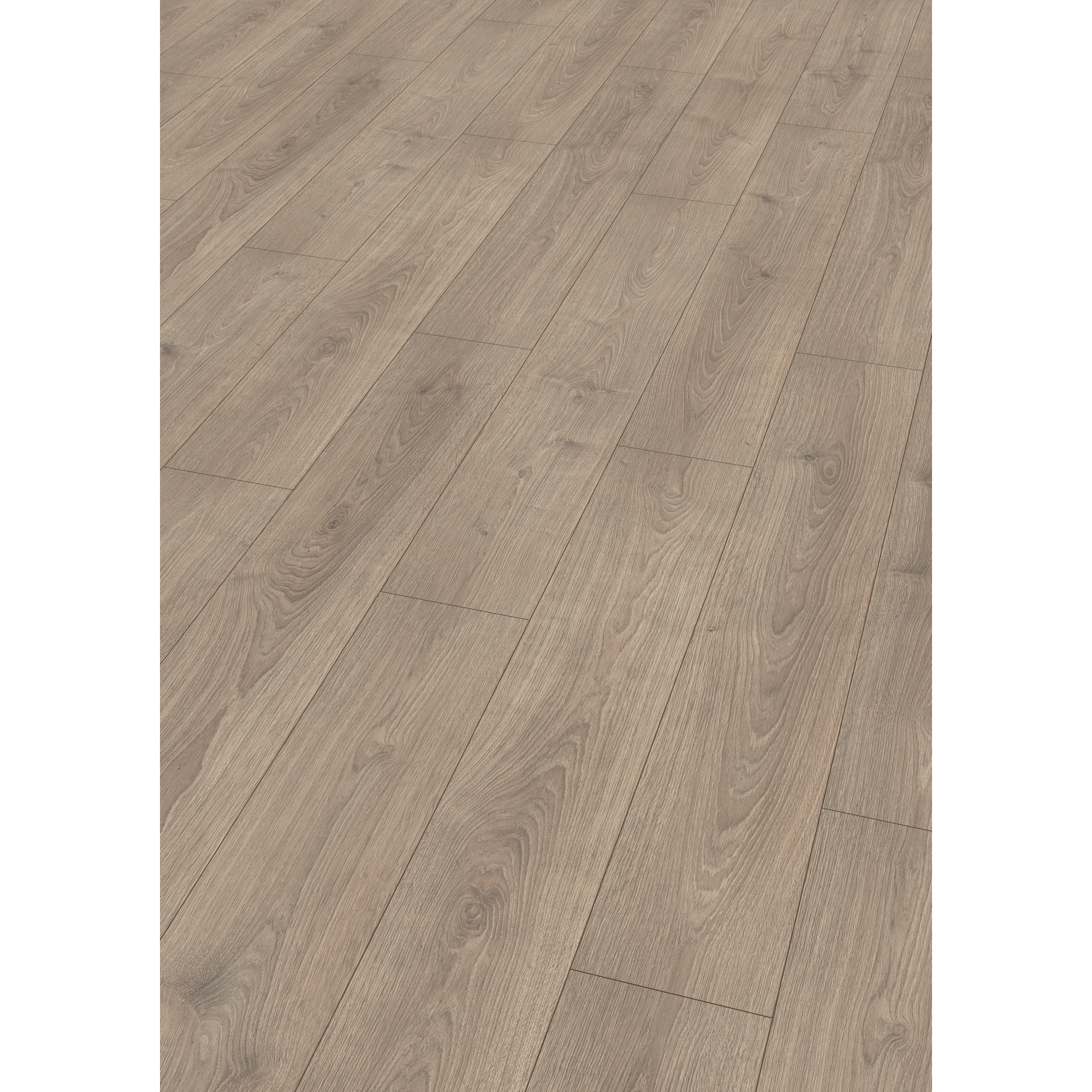 EGGER Laminat Nord Eiche sandbeige, 8mm, 1,995m², authentische Holzoptik, universell einsetzbar
