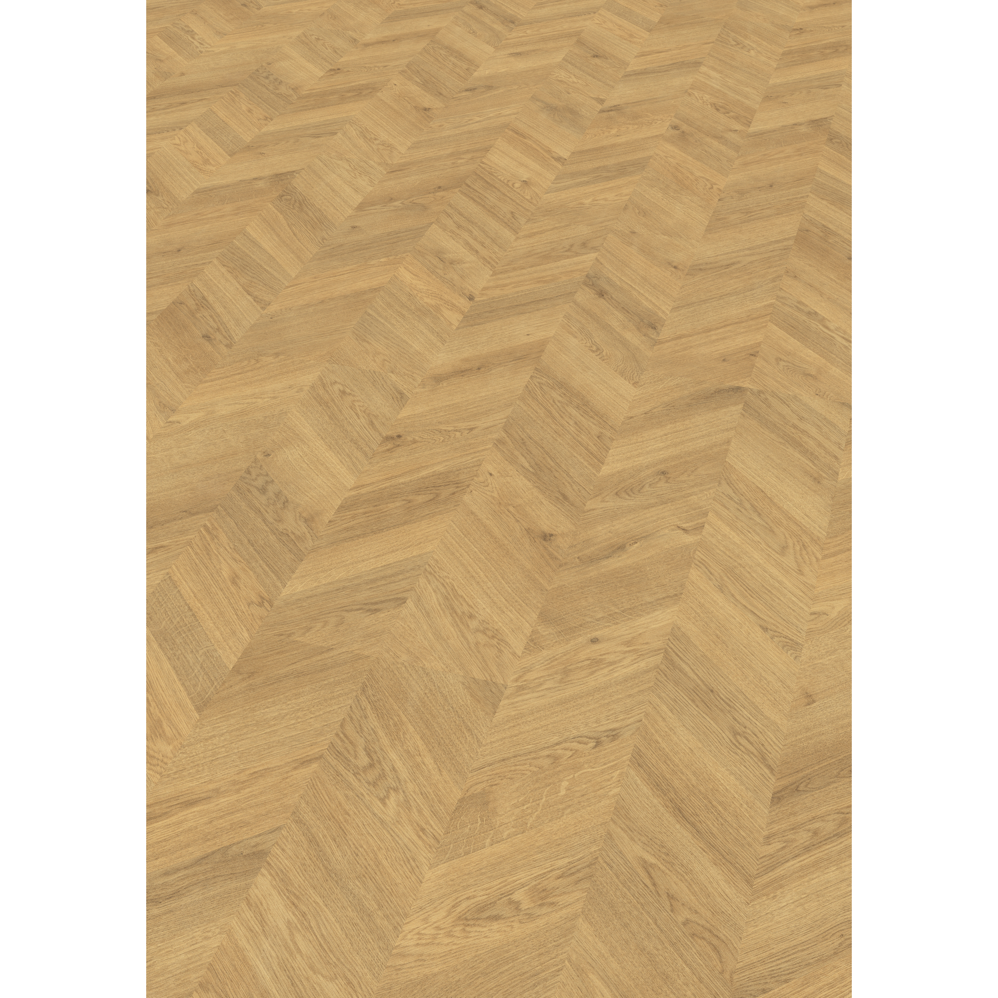 EGGER Laminat Weinburg Eiche hell, 8mm, 2,535m², authentische Fischgrätoptik, universell einsetzbar