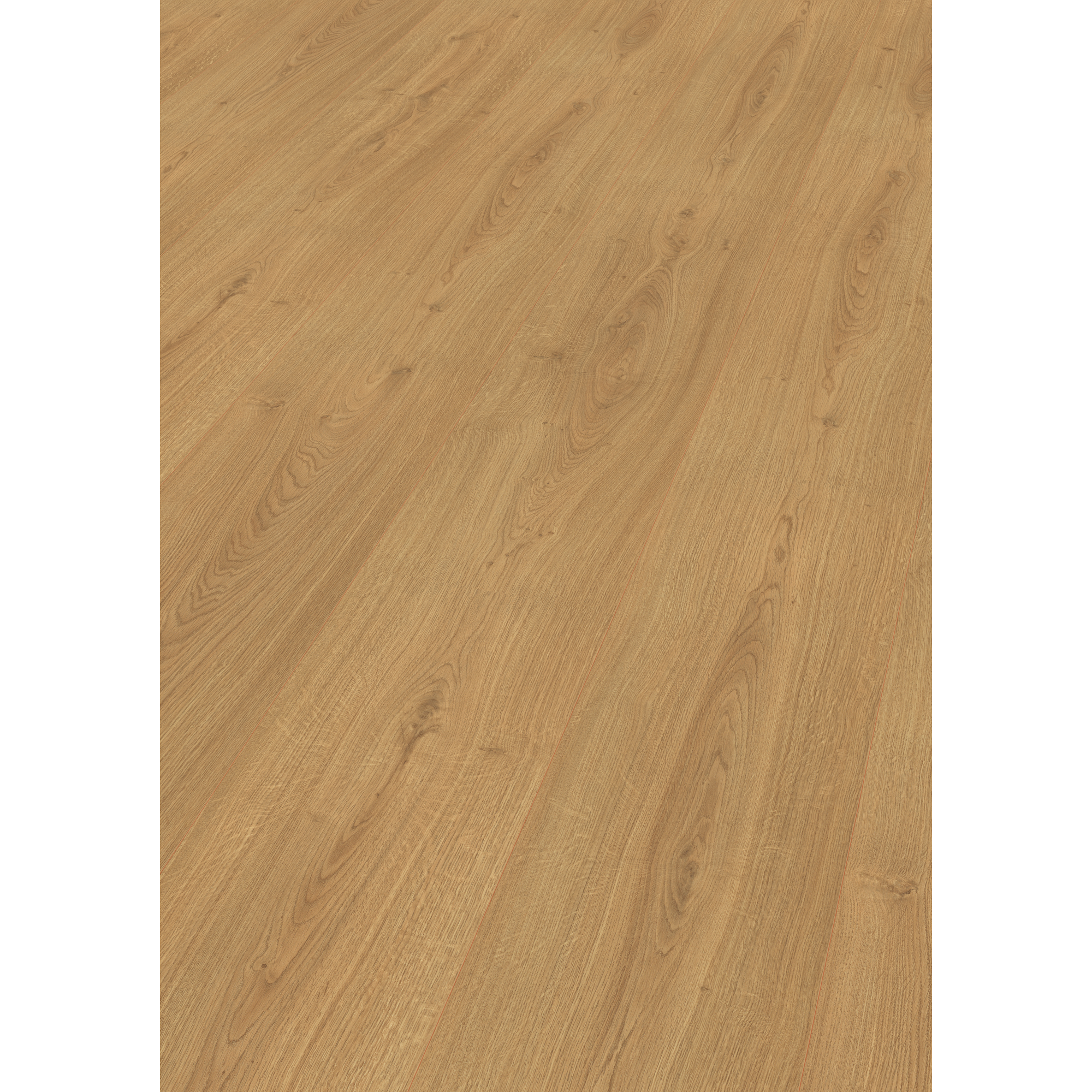 EGGER Laminat Widford Eiche, 8mm, 2,535m², authentische Holzoptik, universell einsetzbar