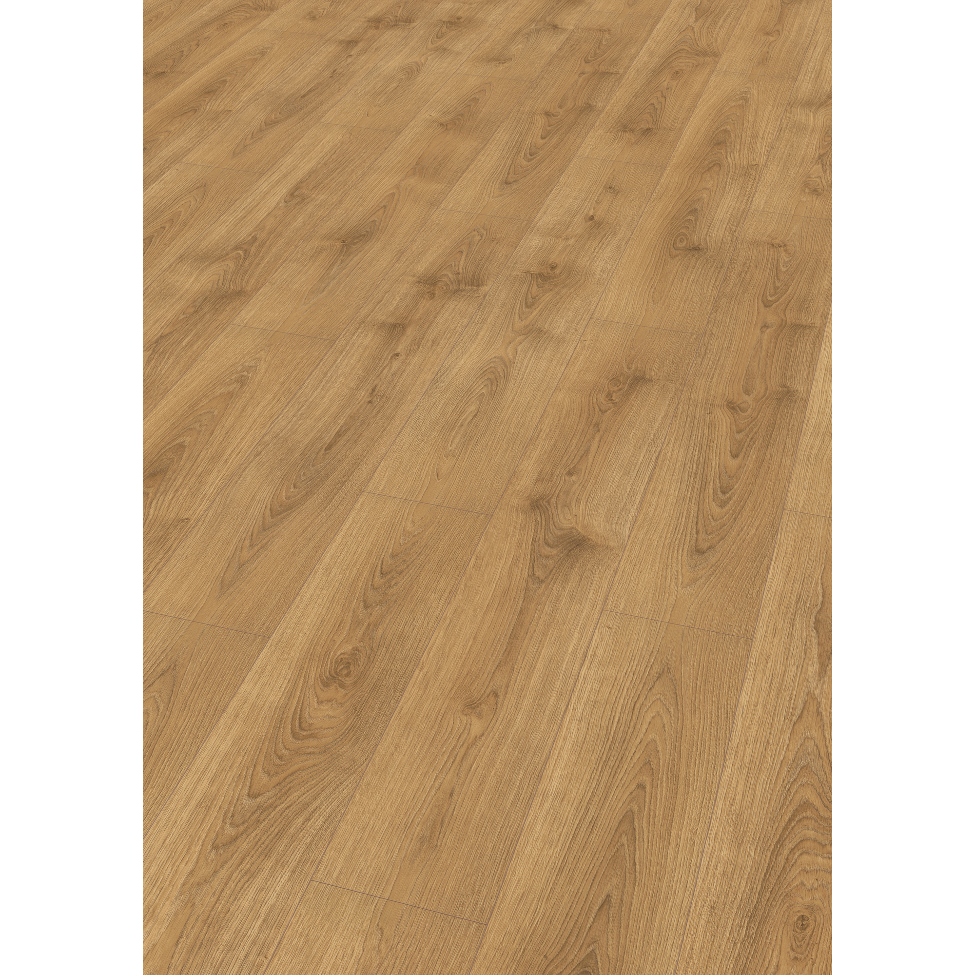 EGGER Laminat Brook Eiche honig, 8mm, 1,995m², authentische Holzoptik, Wasserresistent & feuchtraumgeeignet