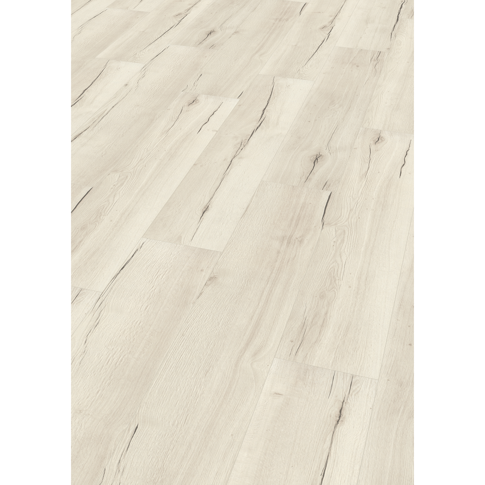 EGGER Laminat Creston Eiche weiss, 8mm, 2,542m², authentische Holzoptik, universell einsetzbar
