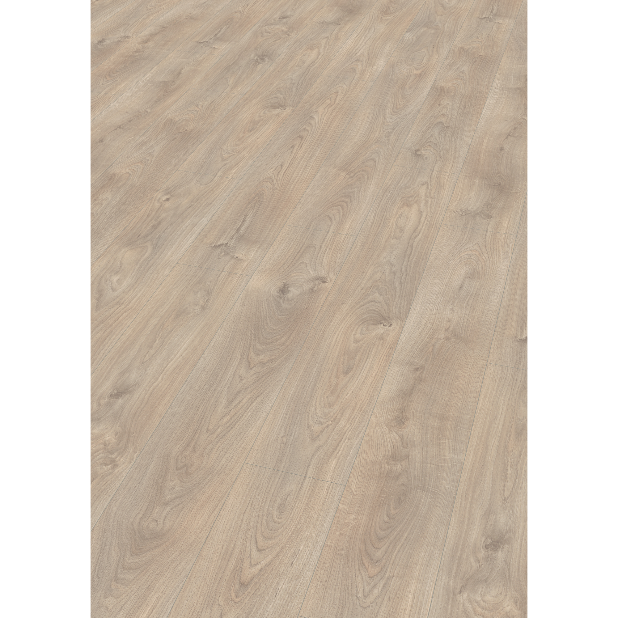EGGER Laminat Belfort Eiche silber, 10mm, 1,746m², authentische Holzoptik, universell einsetzbar