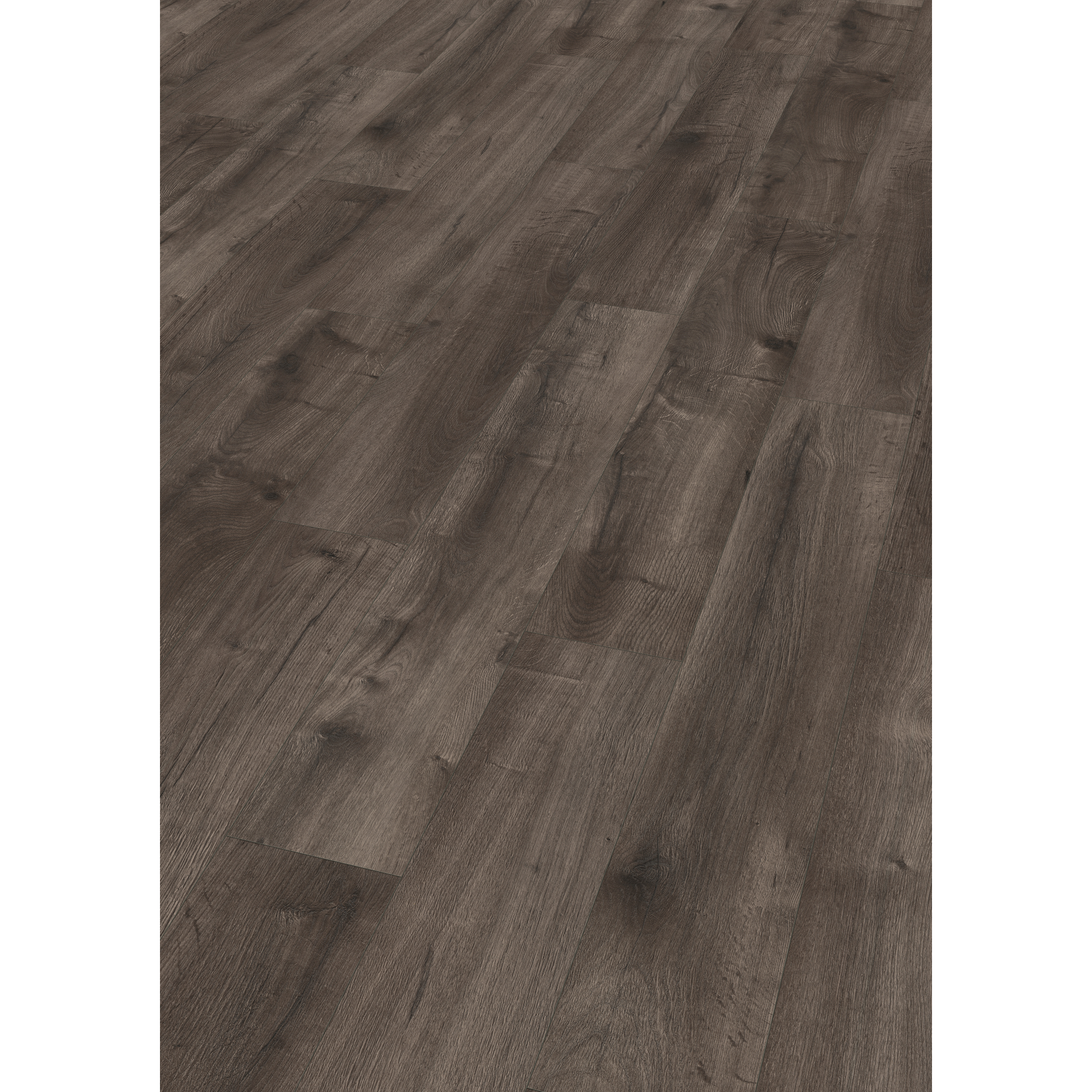 EGGER Laminat Loja Eiche grau, 8mm, 1,995m², authentische Holzoptik, universell einsetzbar