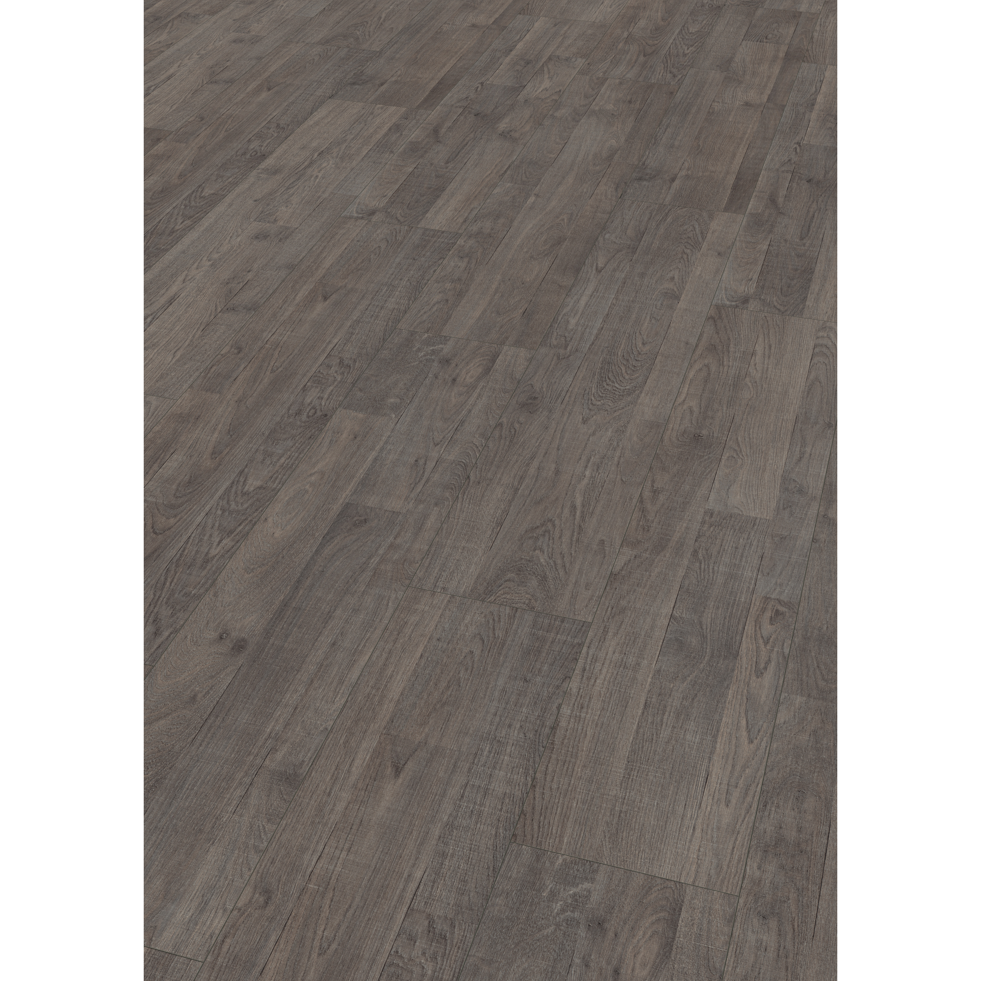 EGGER Laminat Emporia Eiche grau, 8mm, 2,542m², authentische Holzoptik, universell einsetzbar