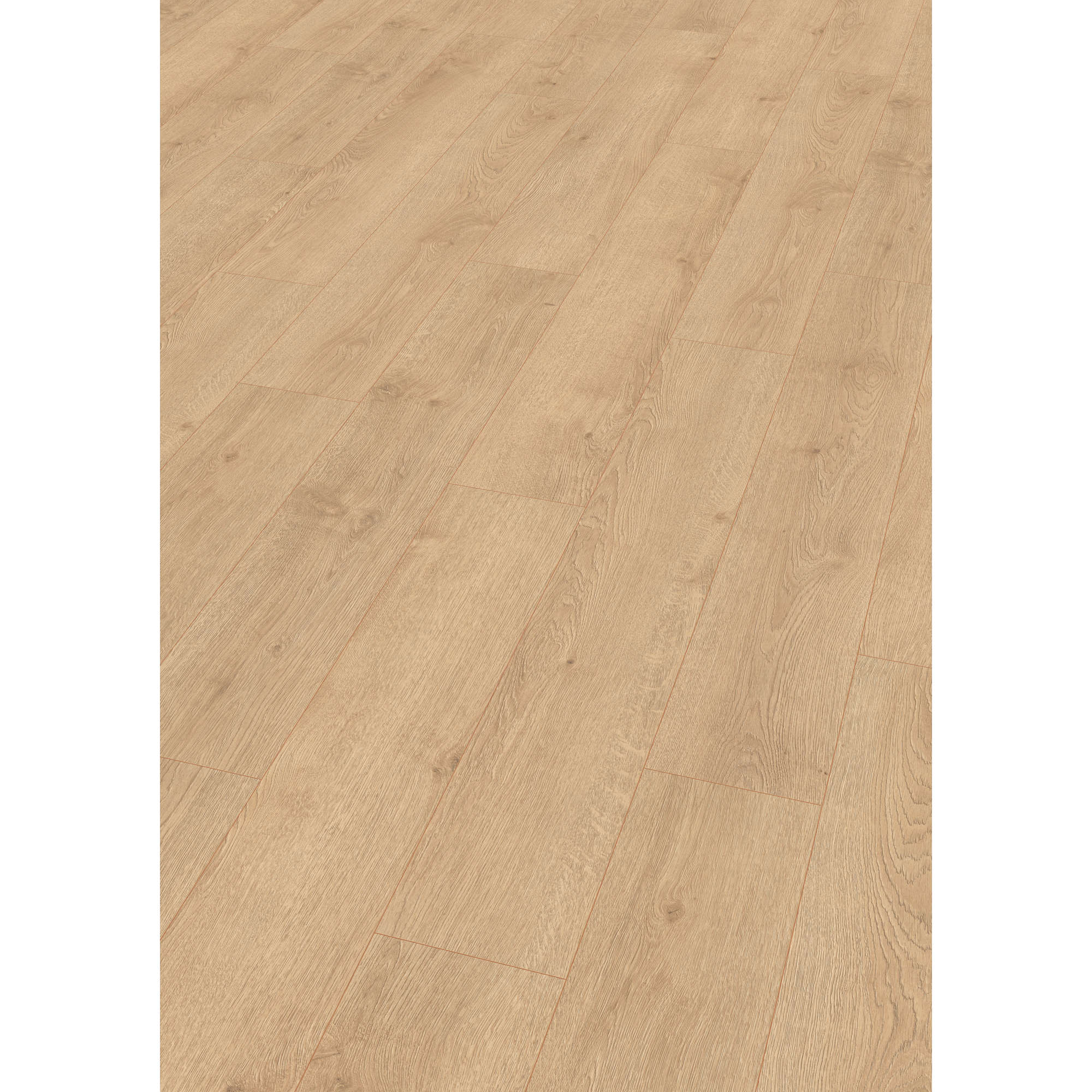 EGGER Laminat Newbury Eiche hell, 8mm, 1,995m², authentische Holzoptik, Wasserresistent & feuchtraumgeeignet