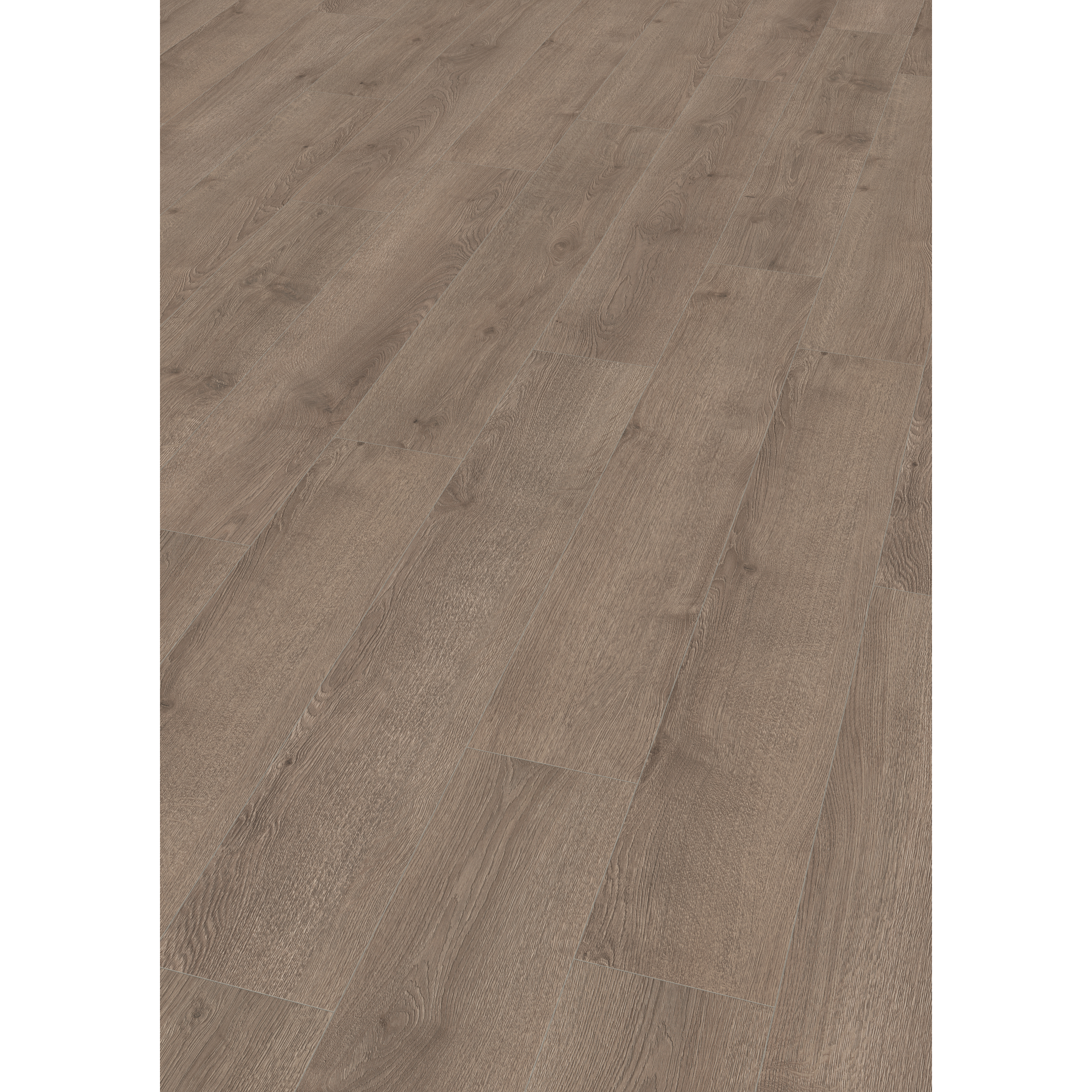 EGGER Laminat Newbury Eiche dunkel, 8mm, 1,995m², authentische Holzoptik, Wasserresistent & feuchtraumgeeignet
