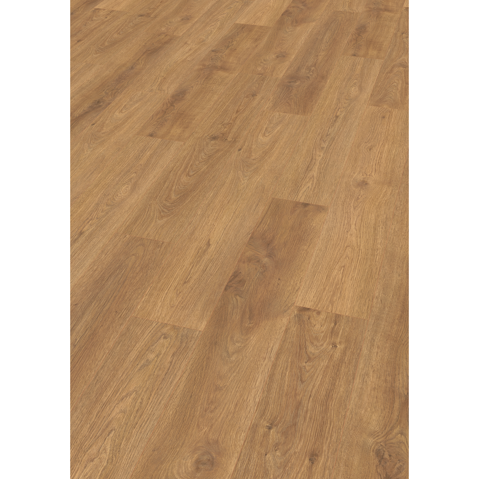 EGGER Laminat Punata Eiche, 10mm, 1,746m², authentische Holzoptik, universell einsetzbar