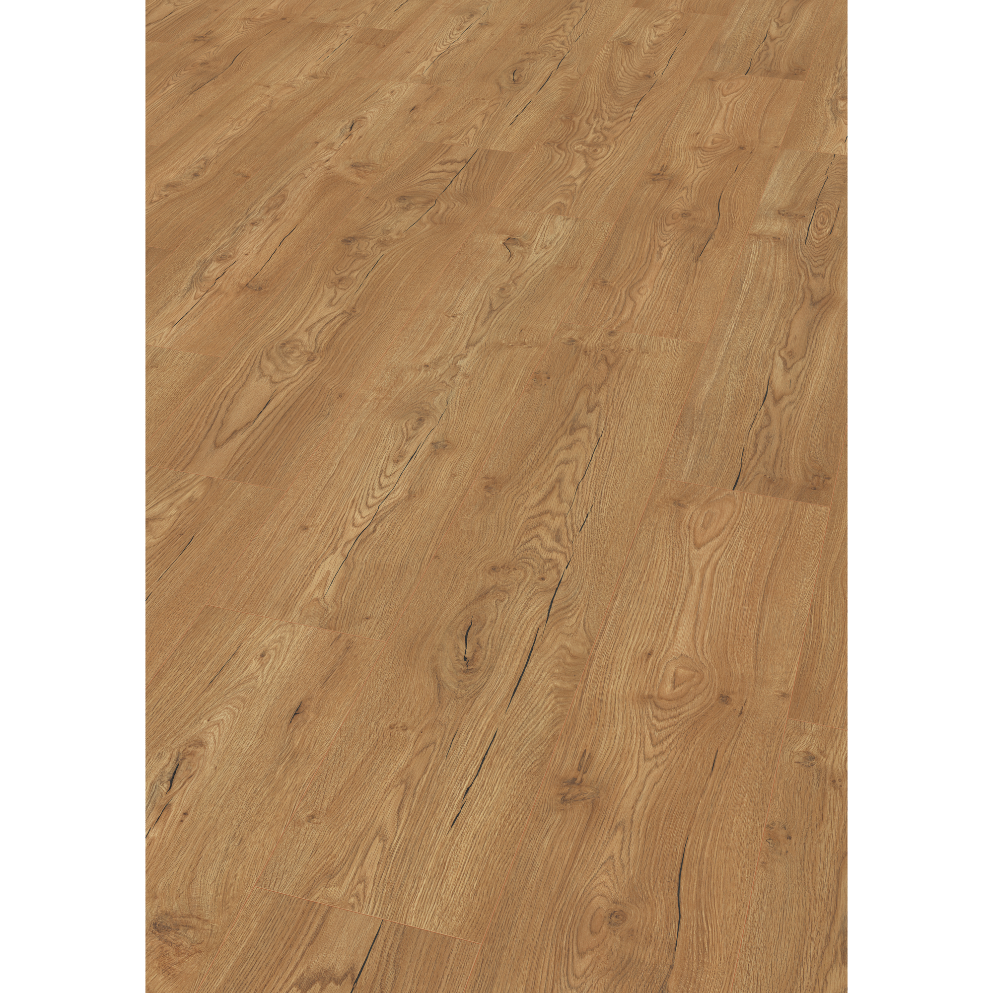 EGGER Laminat Olchon Eiche honig, 8mm, 2,542m², authentische Holzoptik, universell einsetzbar