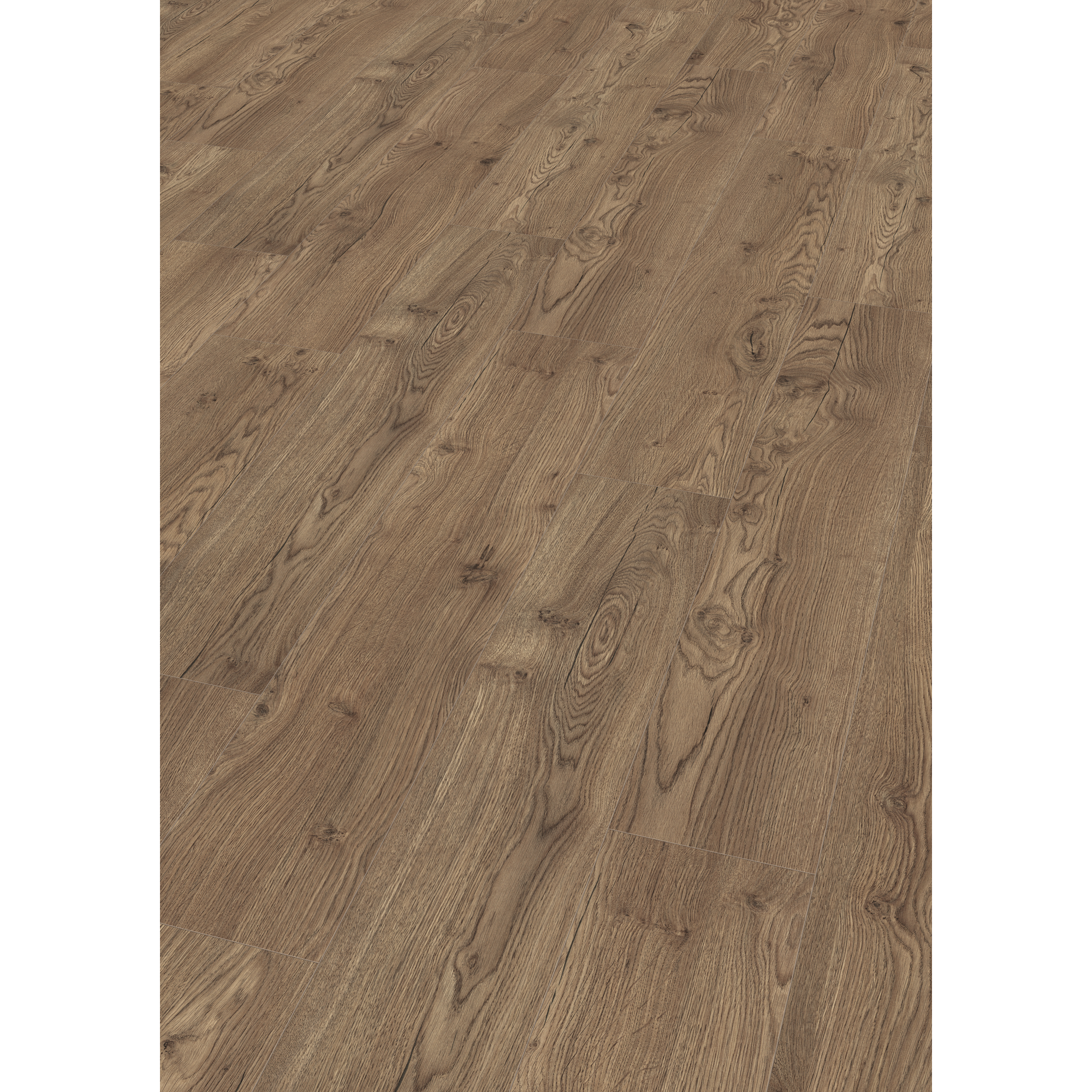 EGGER Laminat Olchon Eiche rauch, 8mm, 2,542m², authentische Holzoptik, universell einsetzbar