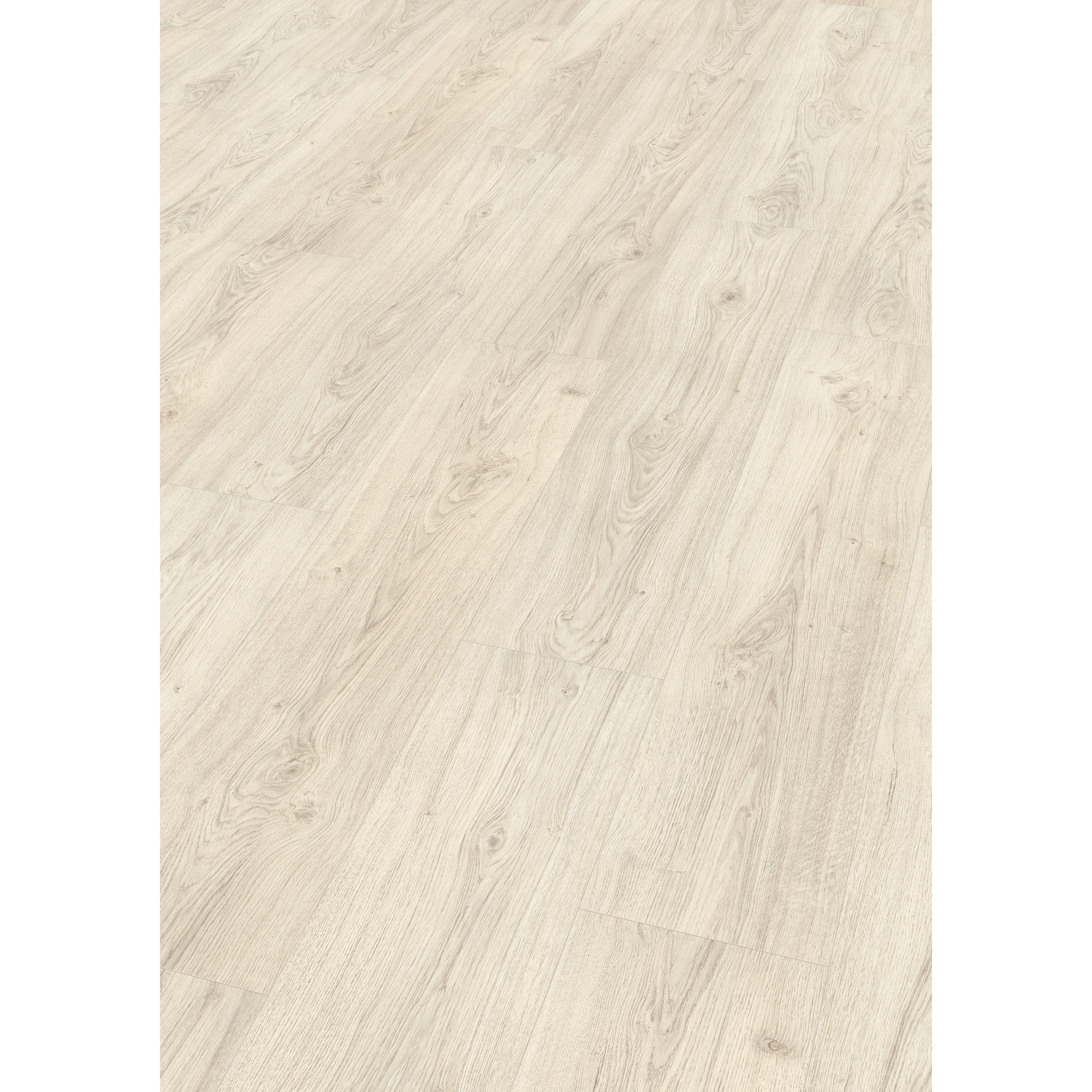 EGGER Laminat Asgil Eiche weiss, 8mm, 2,542m², authentische Holzoptik, universell einsetzbar