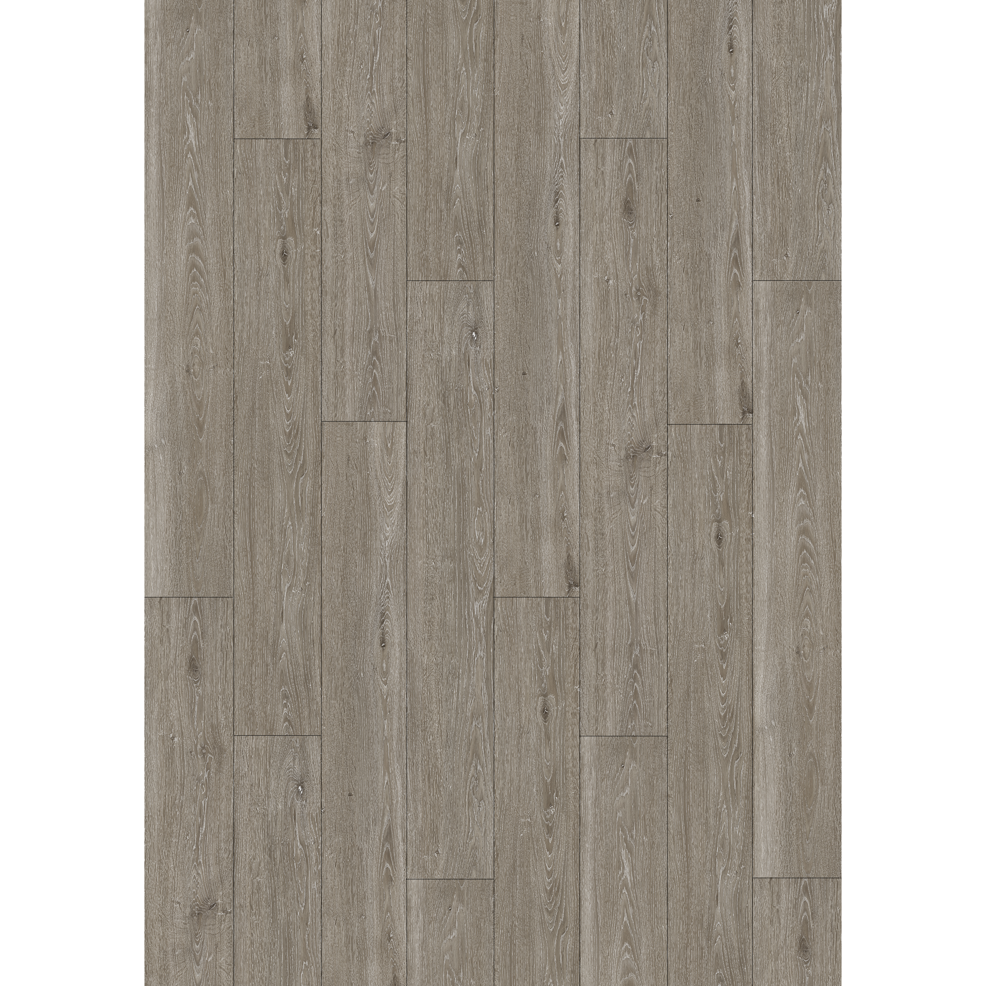Vinylboden Eiche 'Verona' 3,5 mm