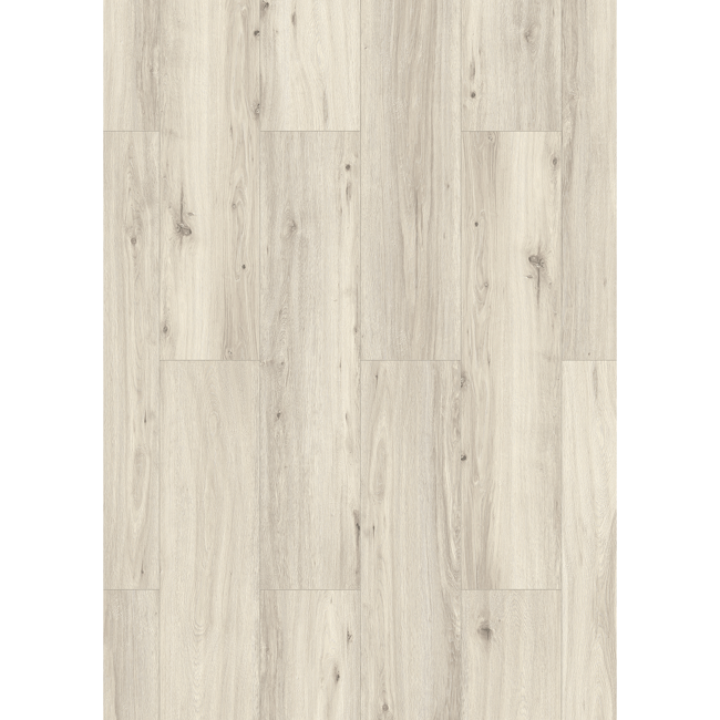 Bild von Laminat '832-4 XL WR' Eiche hell grau 8 mm