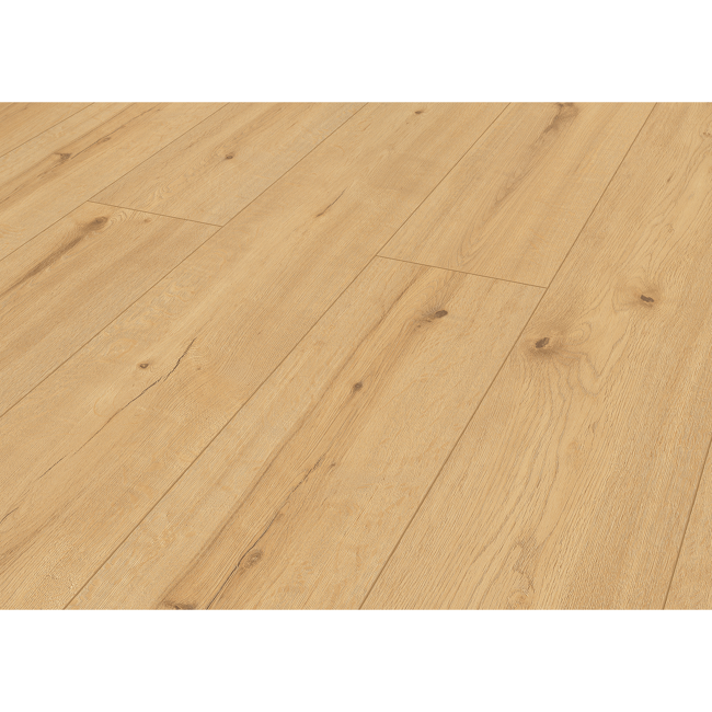 Bild von Vinylboden 'Green Vinyl XL' Natureiche beige 4 mm