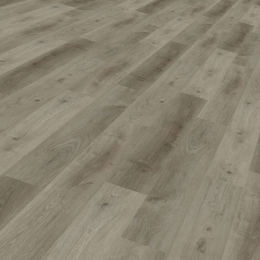 Vinylboden Eiche Trend eichefarben 3,5 mm