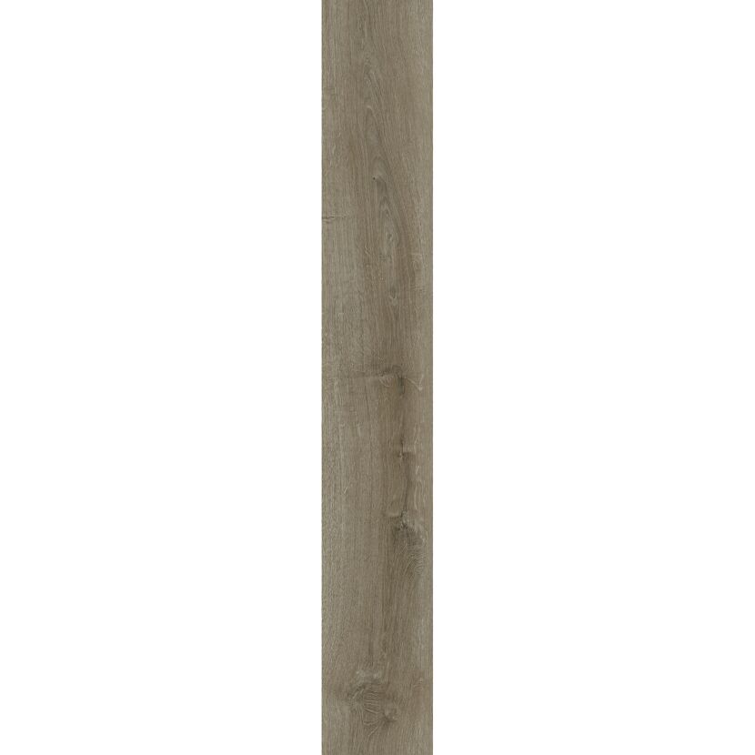 Vinylboden Eiche Trend eichefarben 3,5 mm