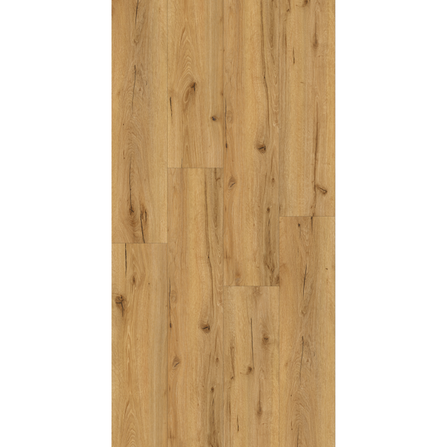 Bild von Vinylboden 'Brisbane' eichefarben 4 mm