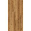 hauptbild
