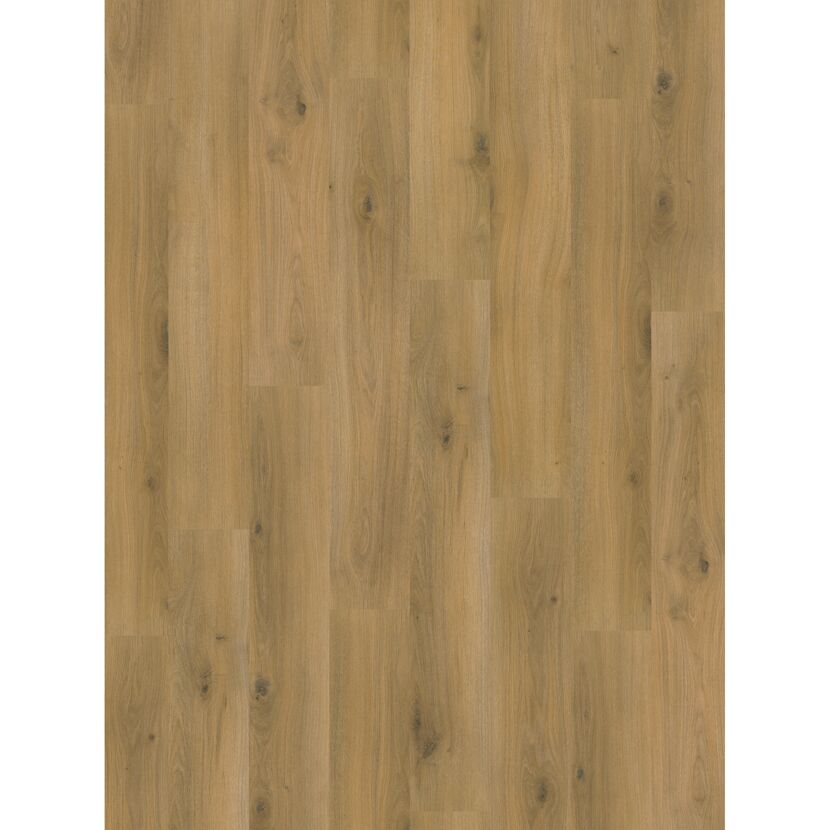 Laminat 'Basic' Eiche Country eichefarben 7 mm