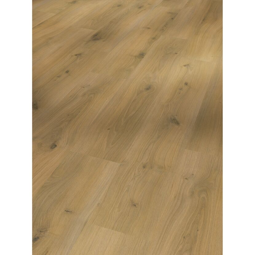 Laminat 'Basic' Eiche Country eichefarben 7 mm
