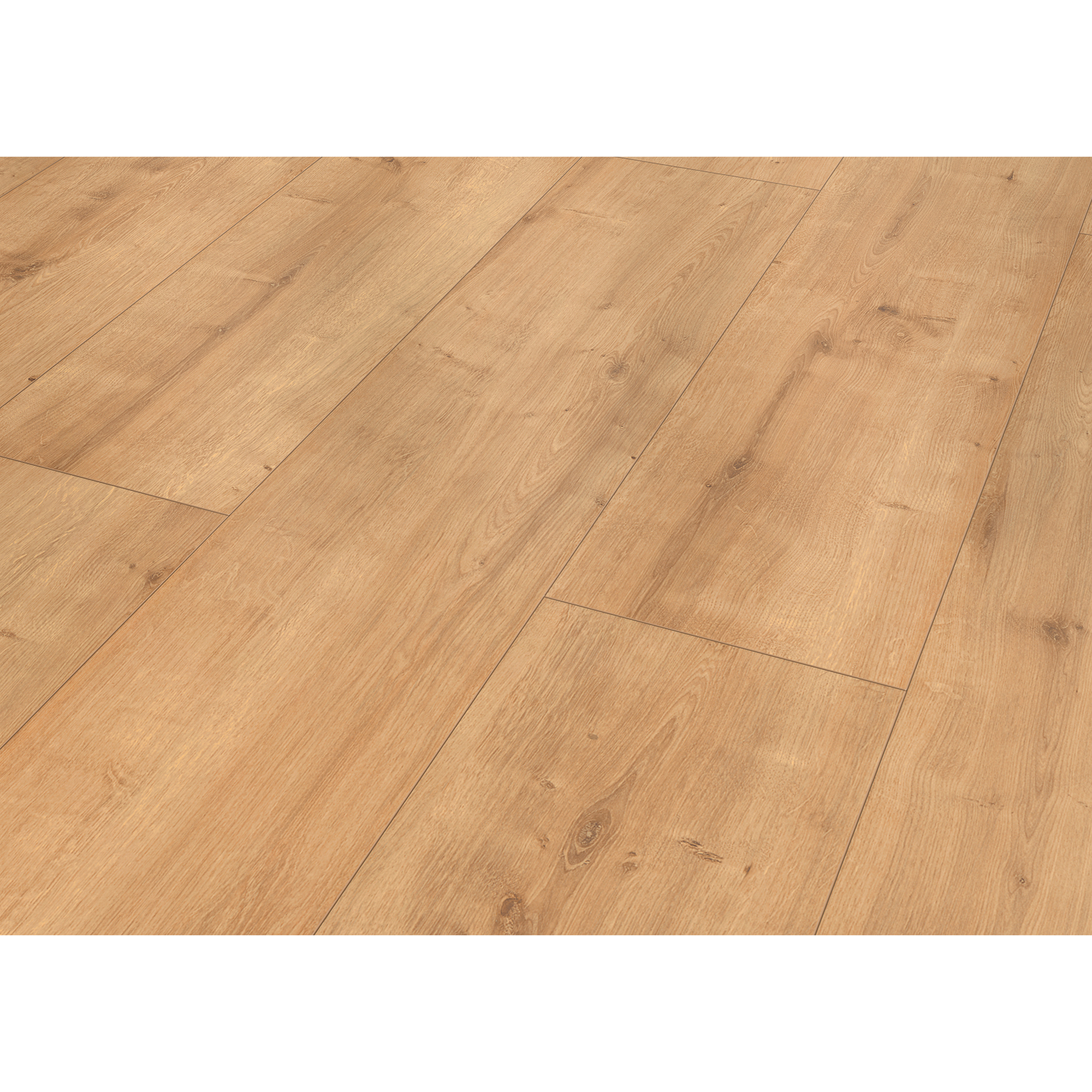 Laminat 'Mediterran XL WR' Burlington Eiche naturfarben 8 mm + product picture