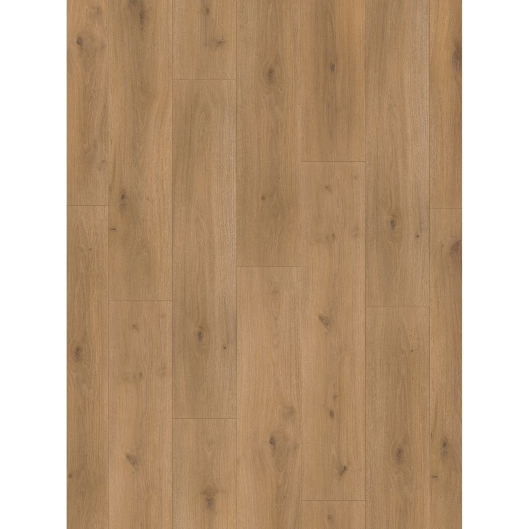 Laminat 'Basic 600' Eiche Horizont natur seidenmatt 8 mm